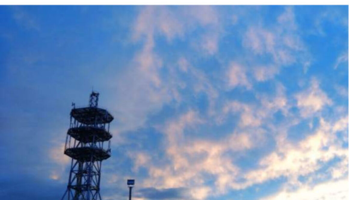 会報 本の小途（ほんのこみち） vol.22 2025.夏秋号